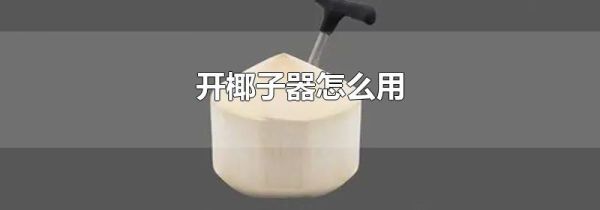 开椰子器怎么用