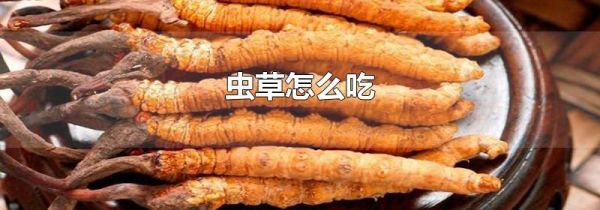 虫草怎么吃