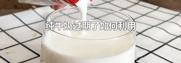 纯牛奶过期了如何利用