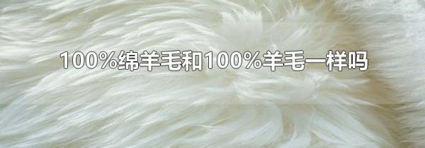 100%绵羊毛和100%羊毛一样吗