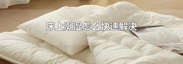 床上潮湿怎么快速解决