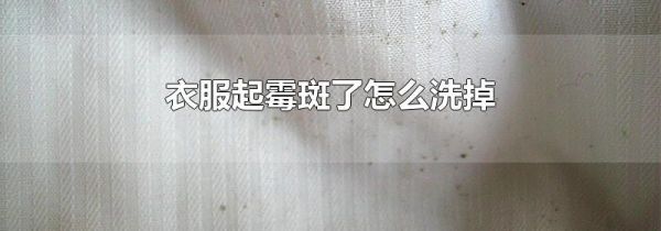 衣服起霉斑了怎么洗掉