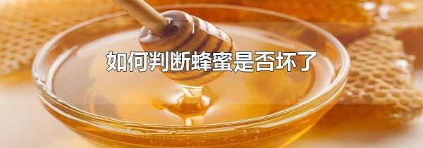 如何判断蜂蜜是否坏了