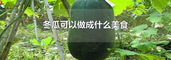 冬瓜可以做成什么美食