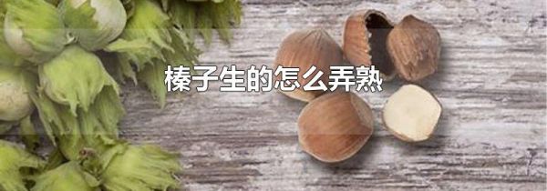榛子生的怎么弄熟
