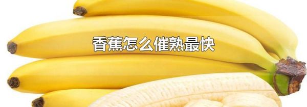 香蕉怎么催熟最快