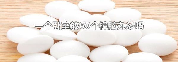 一个卧室放60个樟脑丸多吗
