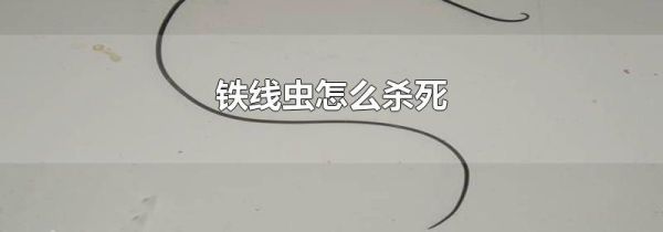 铁线虫怎么杀死