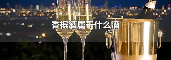 香槟酒属于什么酒