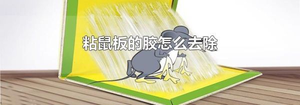 粘鼠板的胶怎么去除