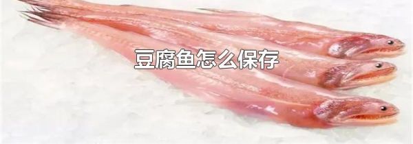 豆腐鱼怎么保存
