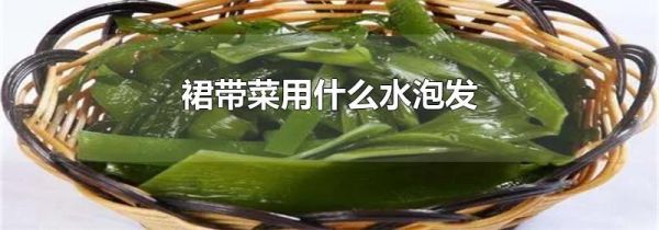 裙带菜用什么水泡发
