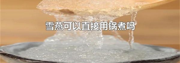 雪燕可以直接用锅煮吗