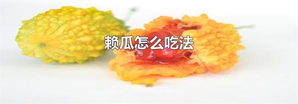 赖瓜怎么吃法