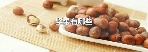 坚果有哪些