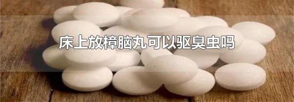 床上放樟脑丸可以驱臭虫吗