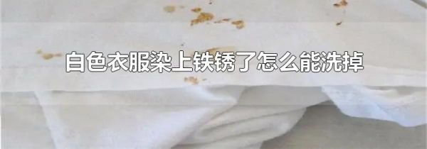 白色衣服染上铁锈了怎么能洗掉