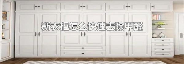 新衣柜怎么快速去除甲醛