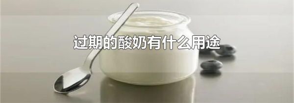 过期的酸奶有什么用途