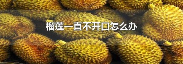 榴莲一直不开口怎么办