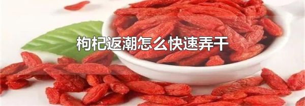 枸杞返潮怎么快速弄干