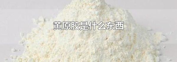 黄原胶是什么东西