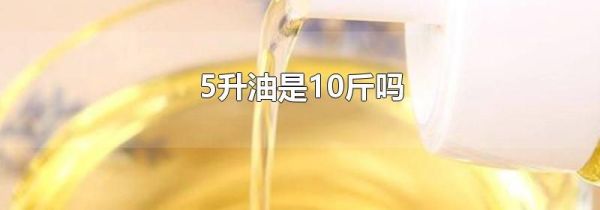 5升油是10斤吗