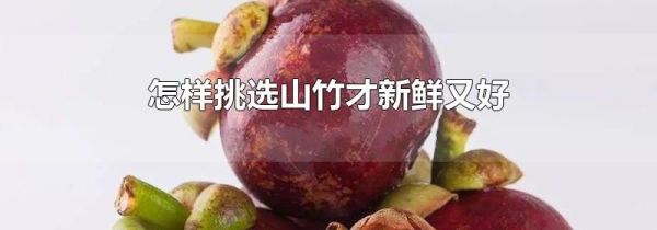 怎样挑选山竹才新鲜又好