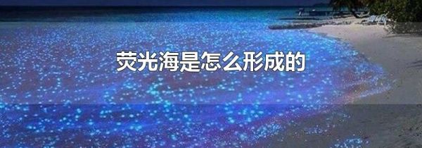 荧光海是怎么形成的