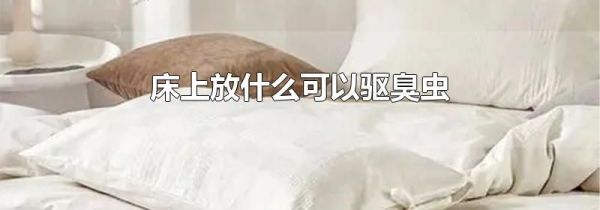 床上放什么可以驱臭虫