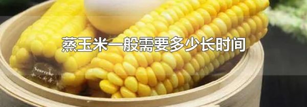 蒸玉米一般需要多少长时间