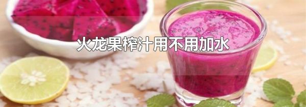 火龙果榨汁用不用加水