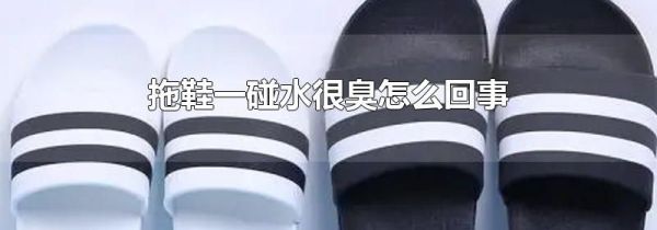 拖鞋一碰水很臭怎么回事