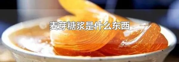 麦芽糖浆是什么东西