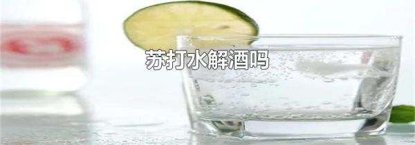 苏打水解酒吗
