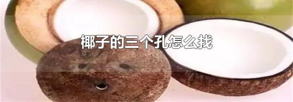 椰子的三个孔怎么找