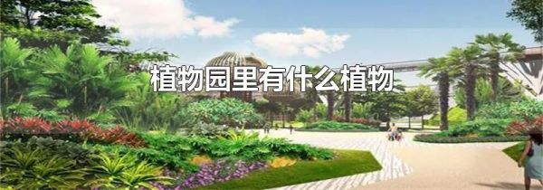 植物园里有什么植物