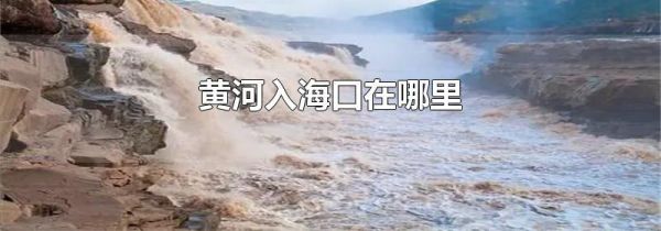 黄河入海口在哪里