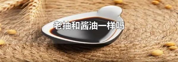 老抽和酱油一样吗