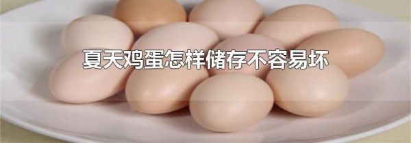 夏天鸡蛋怎样储存不容易坏