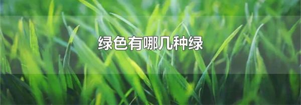 绿色有哪几种绿