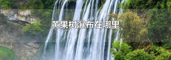 黄果树瀑布在哪里