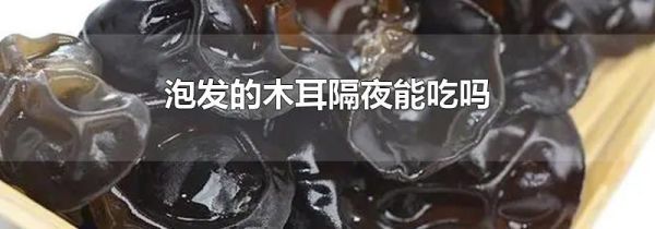 泡发的木耳隔夜能吃吗