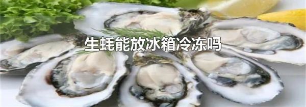 生蚝能放冰箱冷冻吗