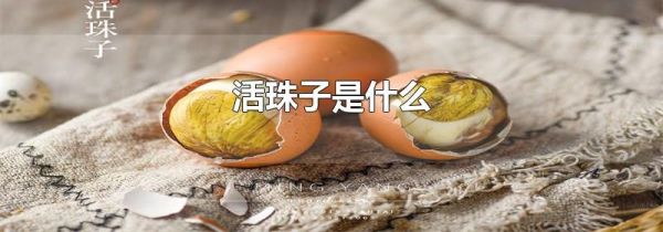 活珠子是什么