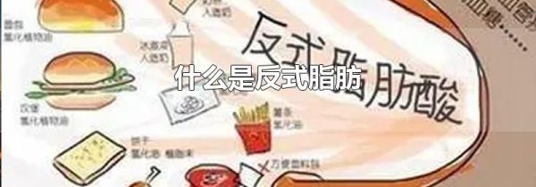 什么是反式脂肪