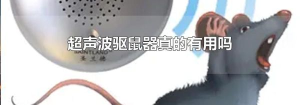 超声波驱鼠器真的有用吗