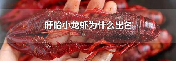 盱眙小龙虾为什么出名