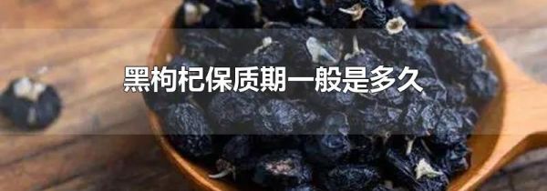 黑枸杞保质期一般是多久