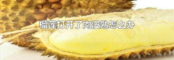 榴莲打开了肉没熟怎么办